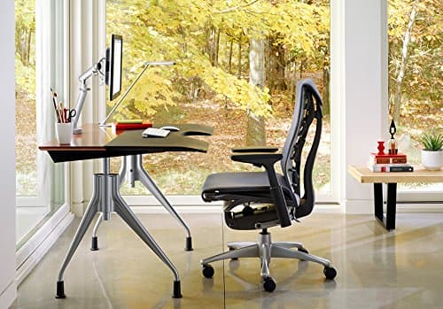 Herman Miller Embody thumbnail 2