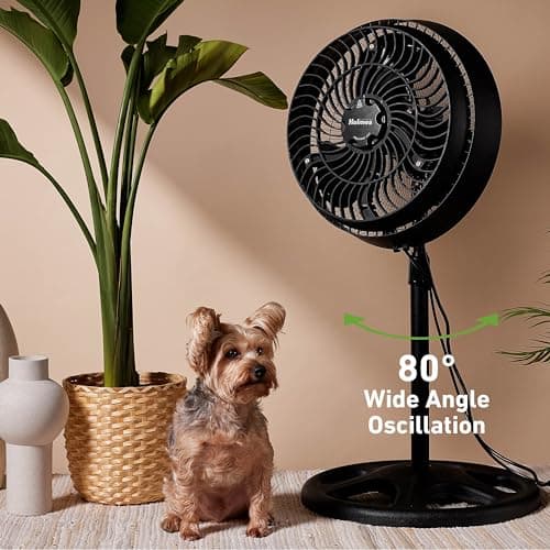 Hurricane Outdoor Stand Misting Fan with Hose Connection thumbnail 5