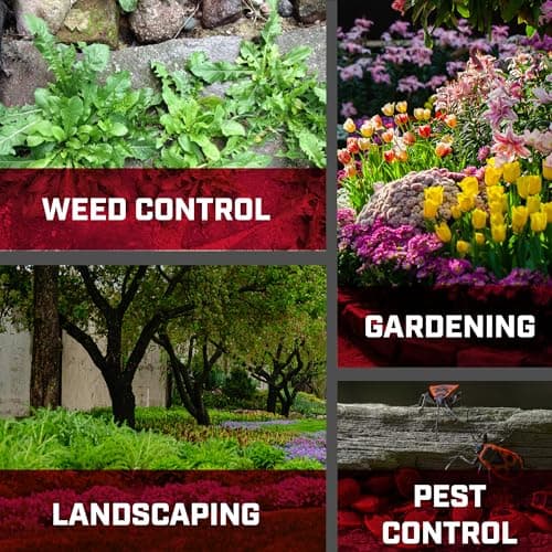 Chapin International 20000 1-Gallon Poly Lawn and Garden Sprayer thumbnail 5