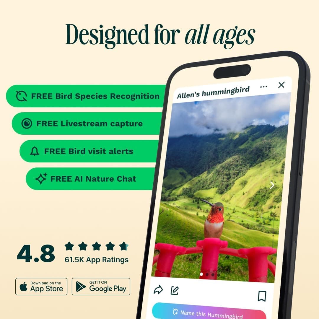 Bird Buddy Smart Solar Pro Hummingbird Feeder thumbnail 3