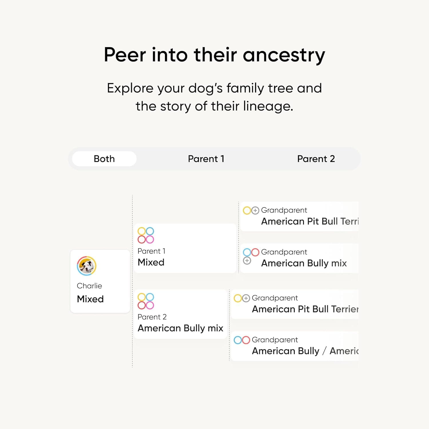 Embark Breed Identification Kit thumbnail 4