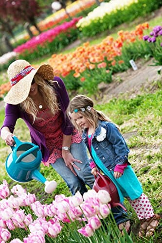 Bloem Deluxe Watering Can 2.5 Gallon thumbnail 5