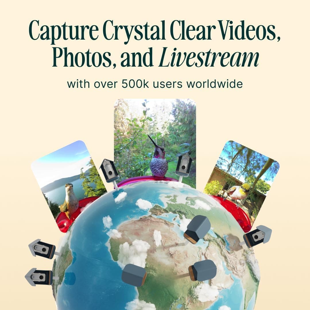 Bird Buddy Smart Solar Pro Hummingbird Feeder thumbnail 2