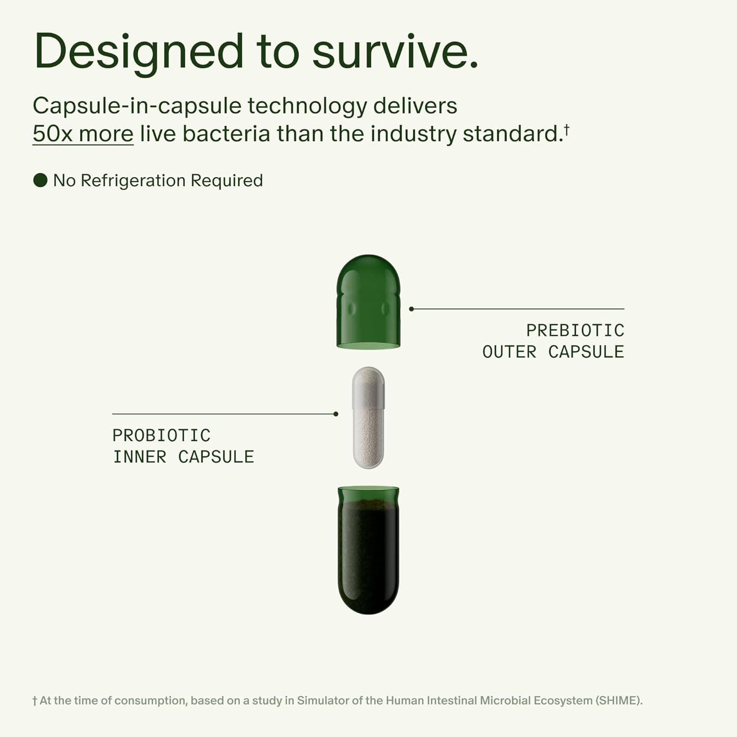 Seed DS-01 Daily Synbiotic thumbnail 4