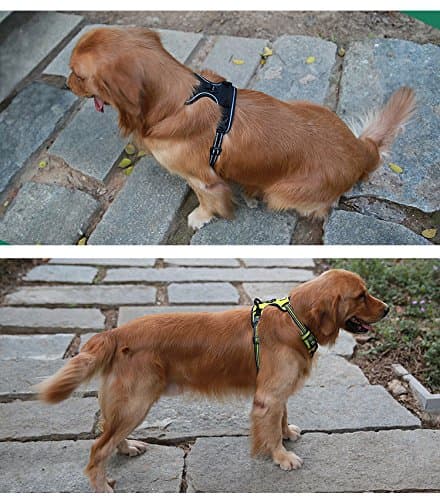 Chai's Choice Best Outdoor Adventure Dog Harness thumbnail 5