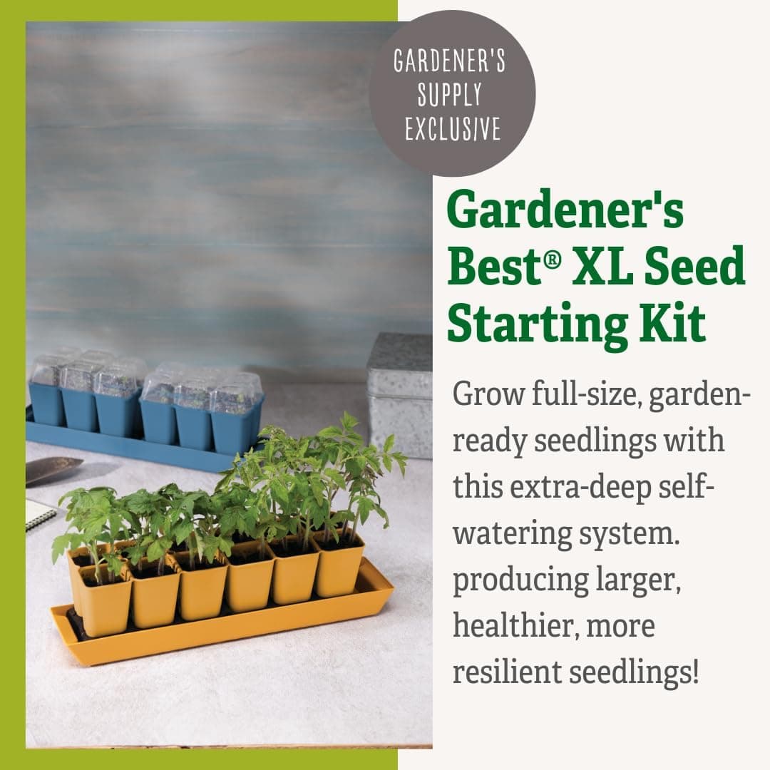 Gardener's Best XL Self-Watering Seed Starting Kit thumbnail 2