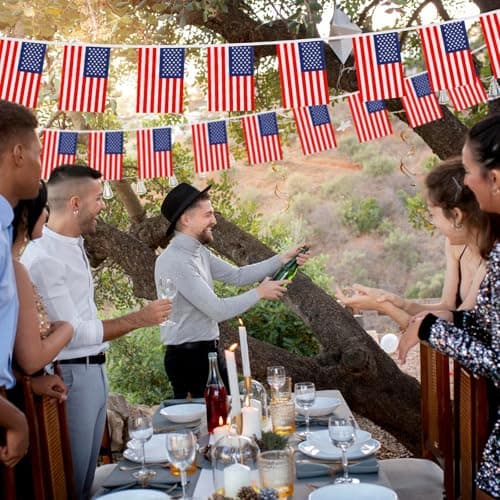 Anley Patriotic Pennant Flag Banner String thumbnail 5