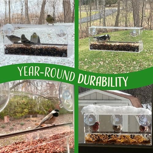 Nature's Hangout Window Bird Feeder with Strong Suction Cups thumbnail 4