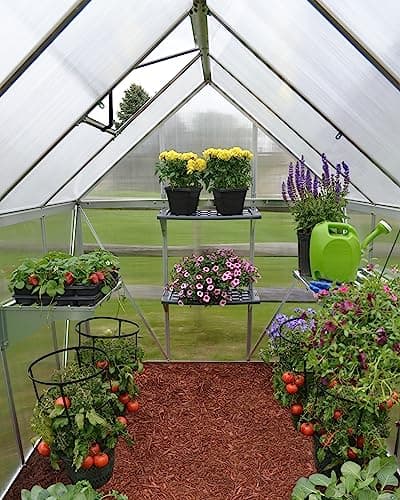 Palram Mythos 6x10 Hobby Greenhouse thumbnail 4