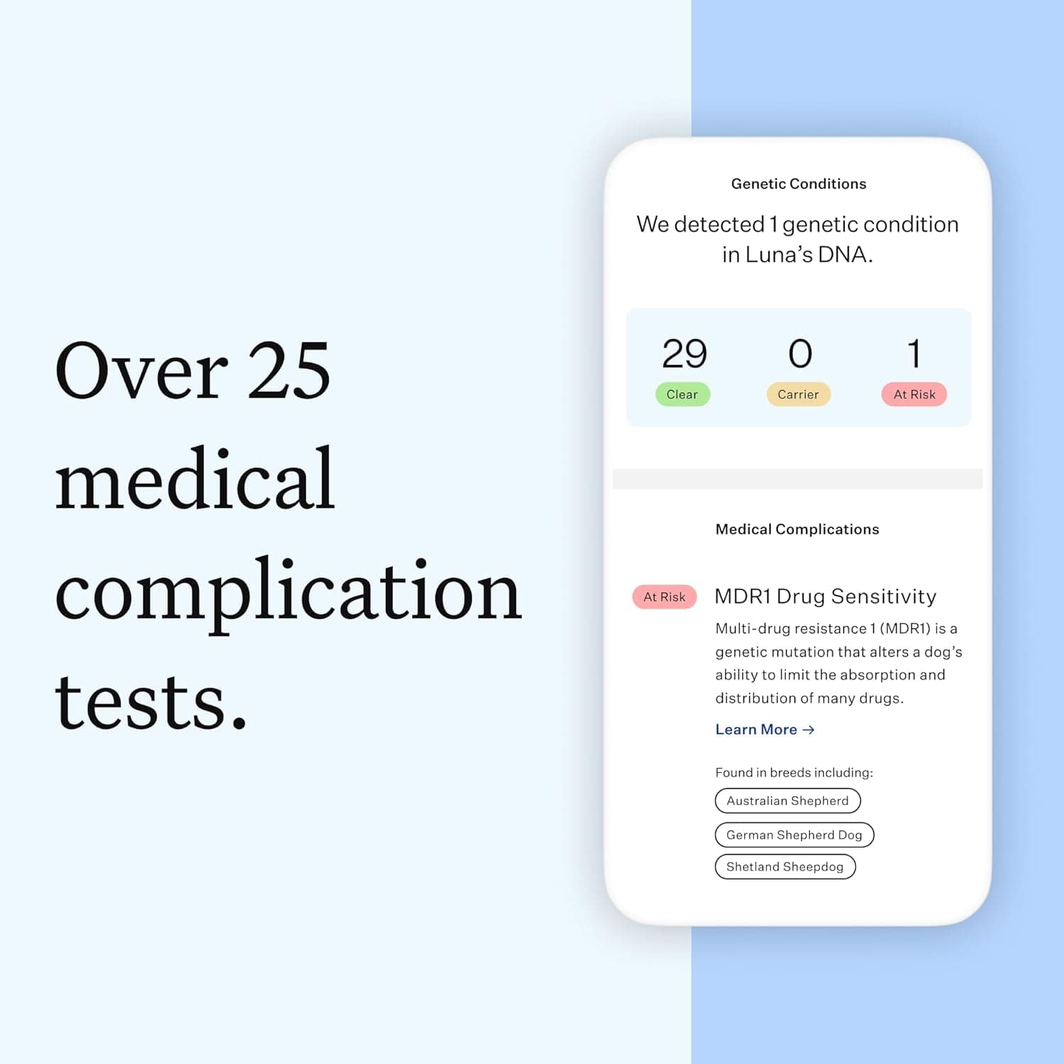 Wisdom Panel Essential Dog DNA Kit thumbnail 3