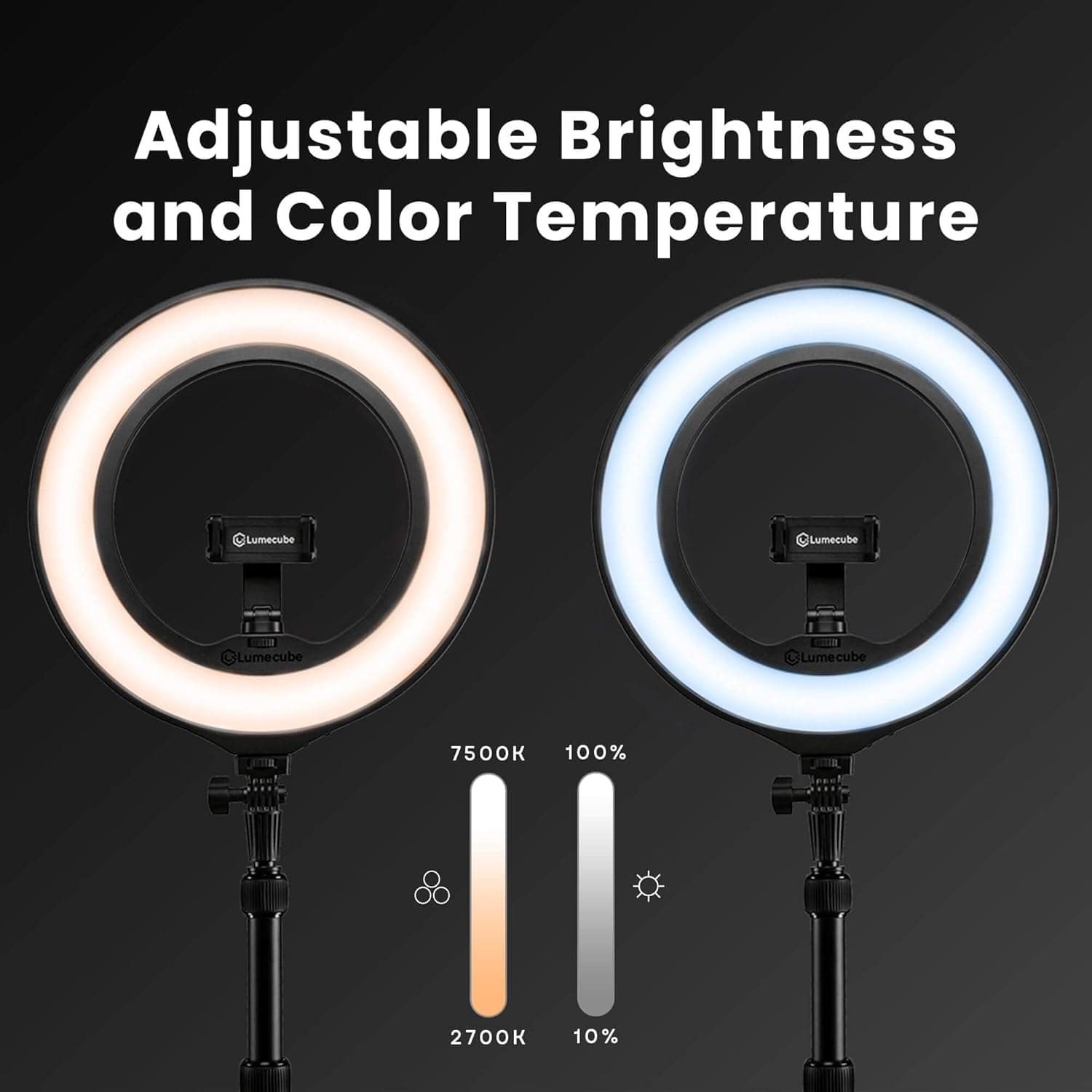 Lume Cube Edge Lit Desktop 12-Inch Ring Light thumbnail 5