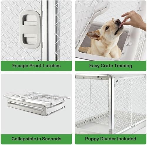 Diggs Revol Collapsible Dog Crate thumbnail 3