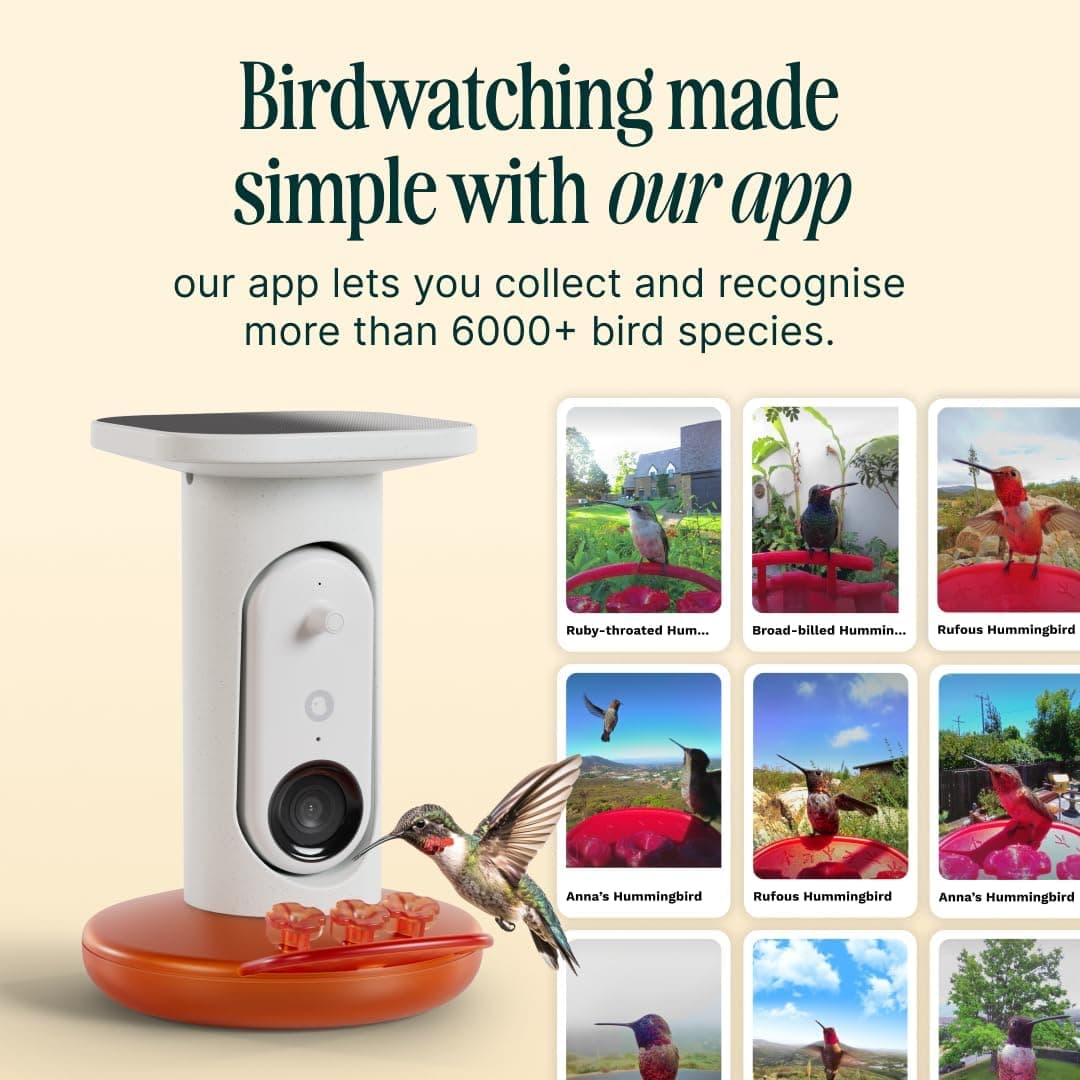 Bird Buddy Smart Solar Pro Hummingbird Feeder thumbnail 4
