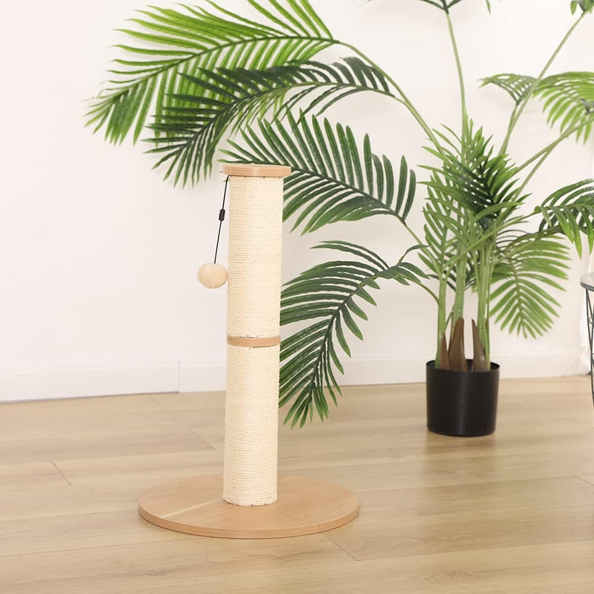 Amazon Basics Cat Scratching Post 24" thumbnail 4