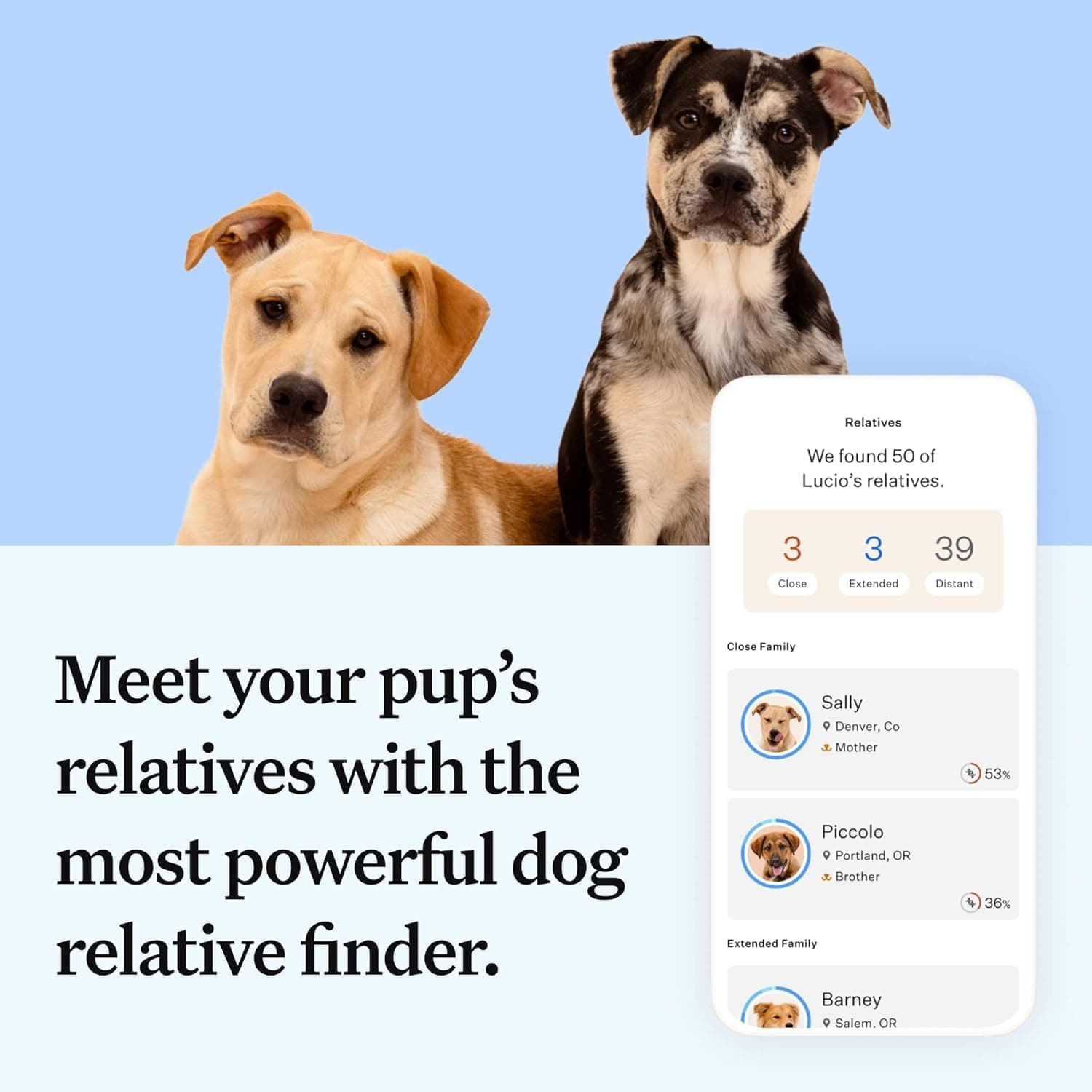 Wisdom Panel Essential Dog DNA Kit thumbnail 5