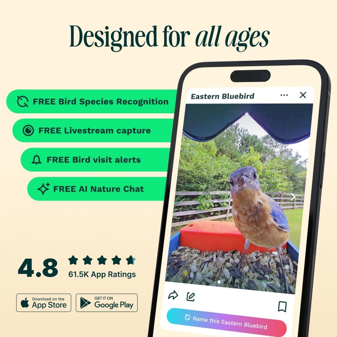 Bird Buddy PRO Solar Smart Bird Feeder thumbnail 3