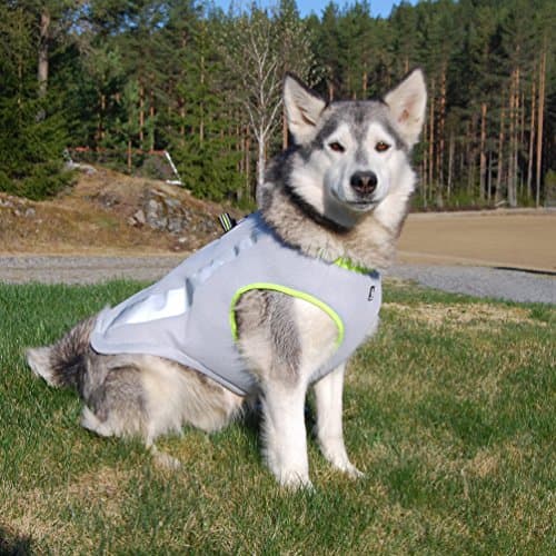 EzyDog Element Cooling Vest with Chest Harness Loop thumbnail 4