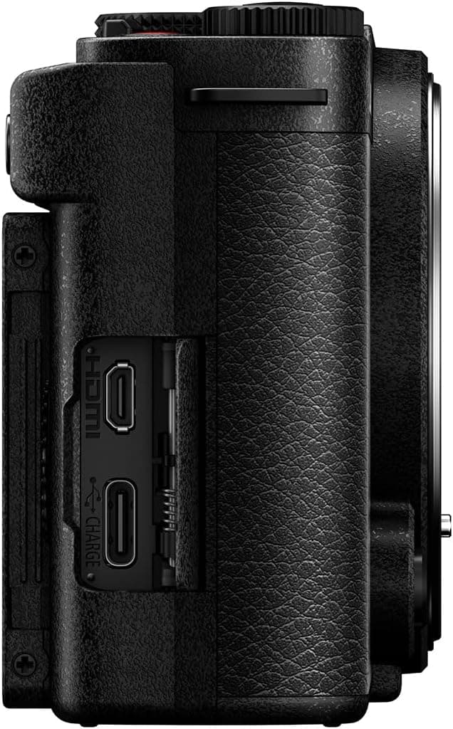 Panasonic LUMIX S9 Full-Frame Mirrorless Camera thumbnail 3