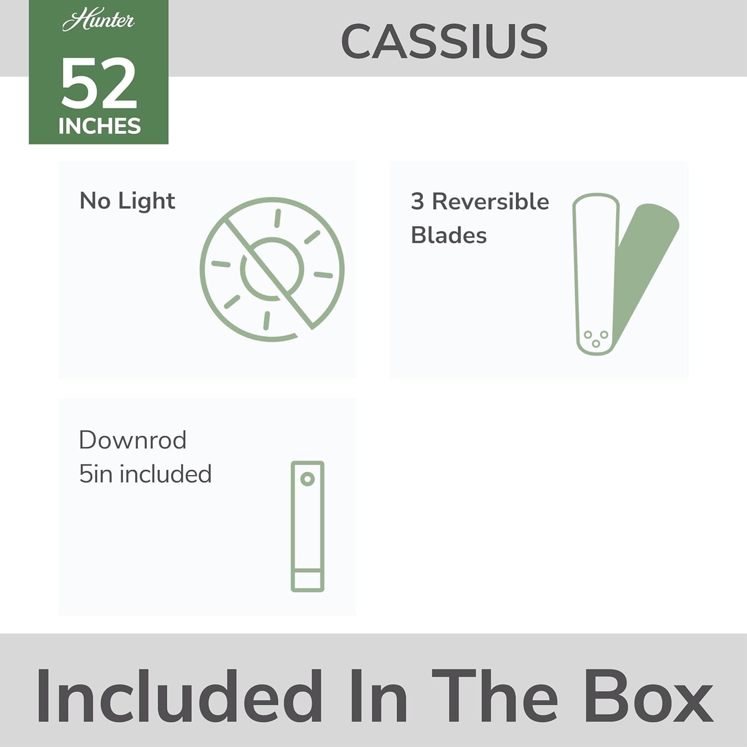 Hunter Cassius 52-Inch Indoor/Outdoor Ceiling Fan thumbnail 3