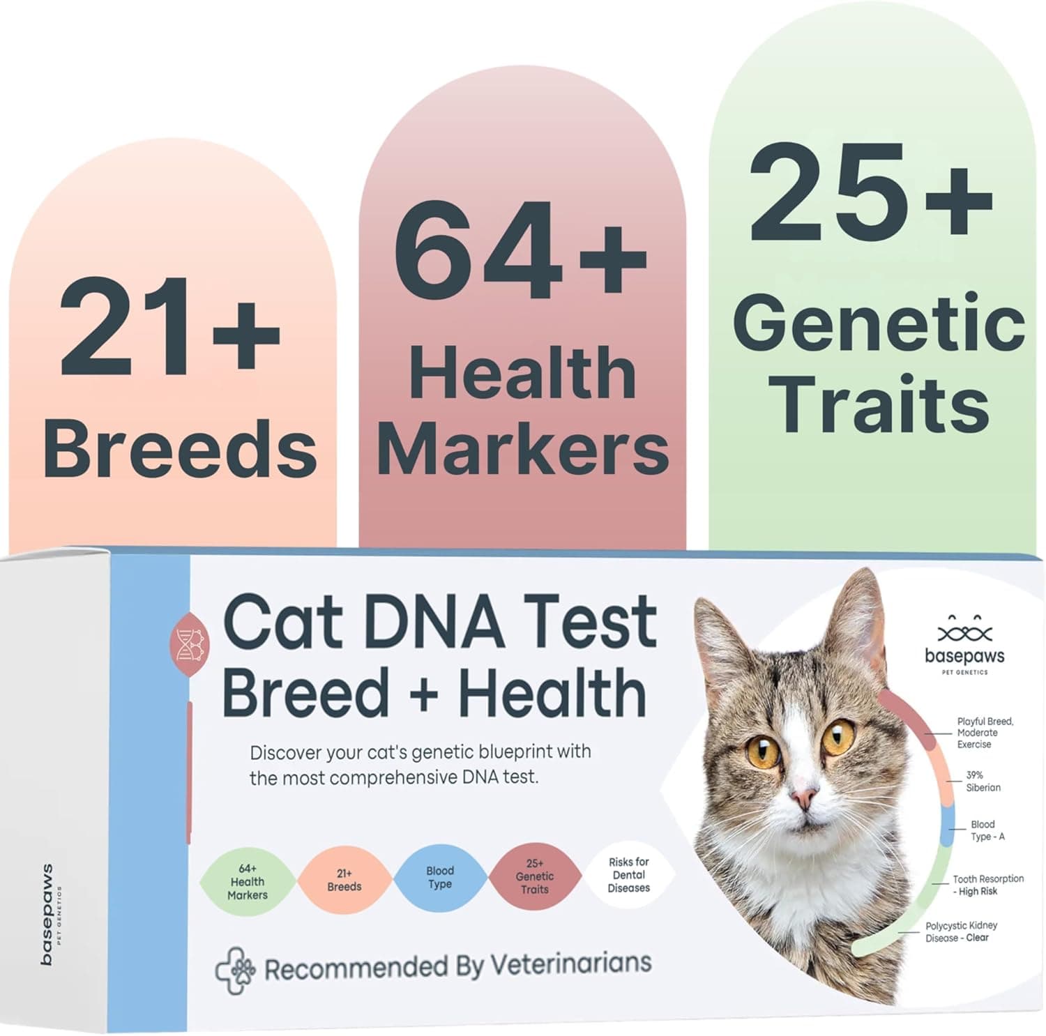 Basepaws Cat DNA Test Kit - image 1