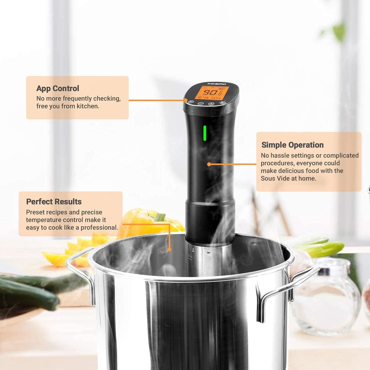 Inkbird WiFi Sous Vide Cooker ISV-200W thumbnail 4