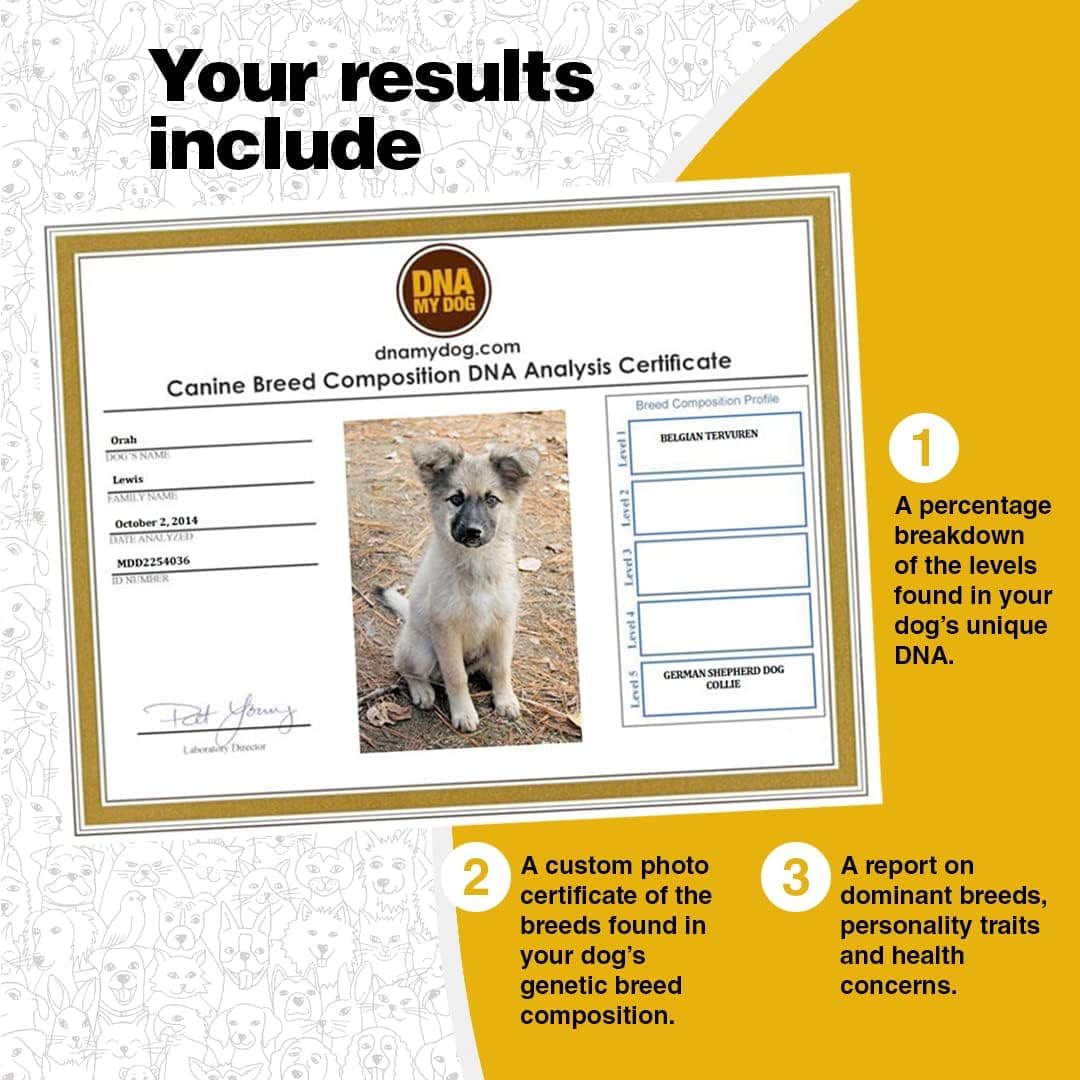 DNA My Dog Genetic Testing Kit thumbnail 3