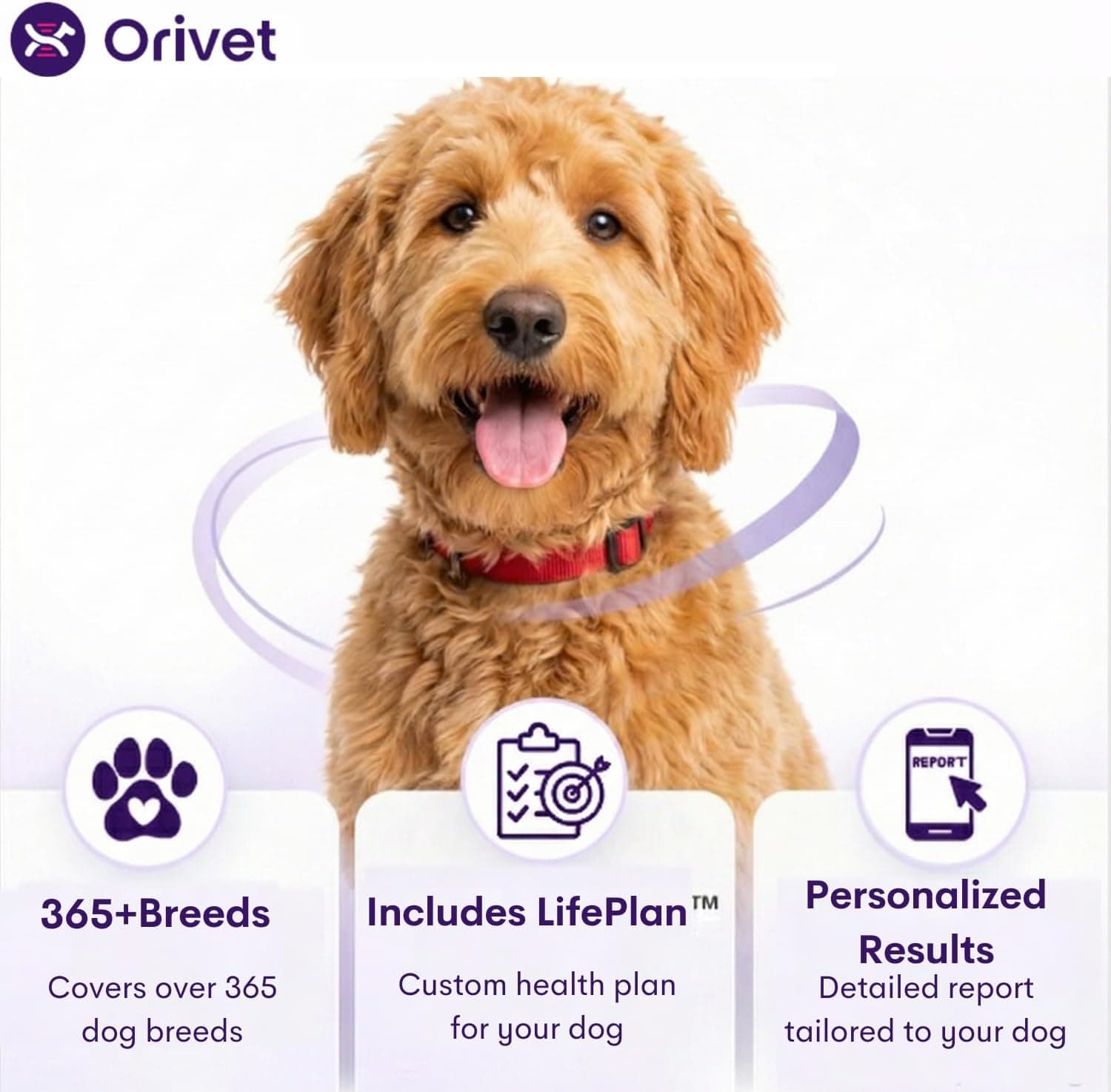 Orivet GenoPet Plus 5.0 Dog DNA Test thumbnail 2