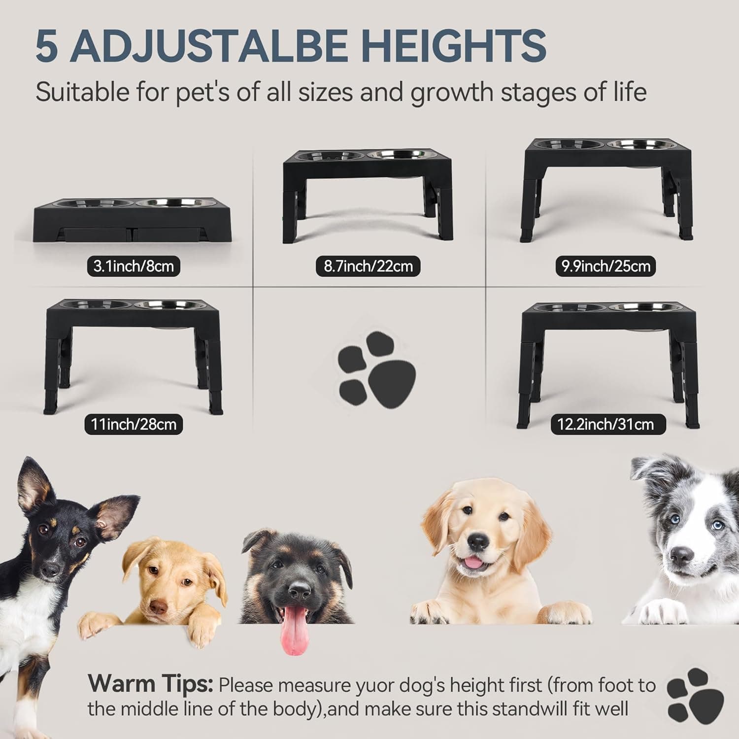 PAWISE Elevated Dog Bowls 4 Height Adjustable thumbnail 2