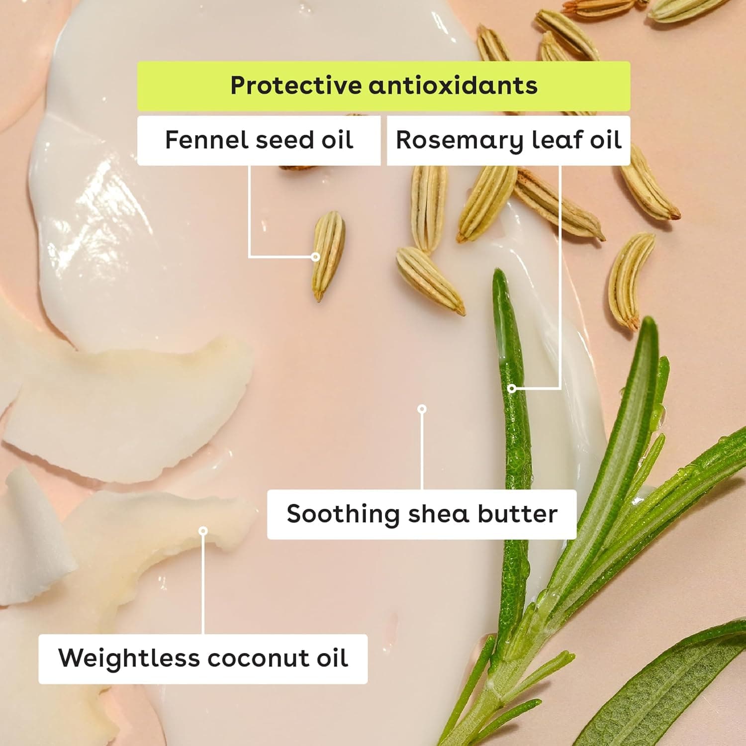 eos 100% Natural & Organic Lip Balm Vanilla Bean (2-Pack) thumbnail 4