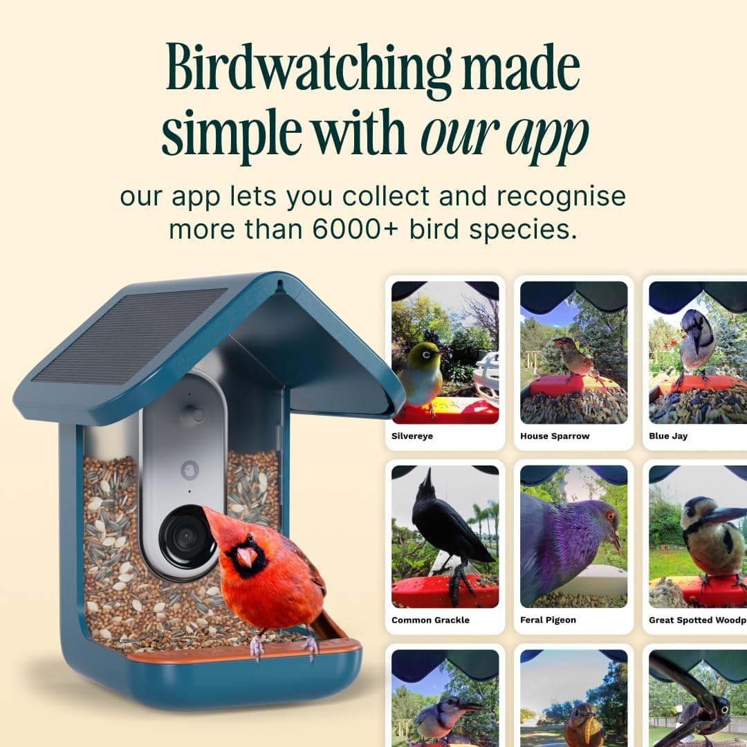 Bird Buddy PRO Solar Smart Bird Feeder thumbnail 4