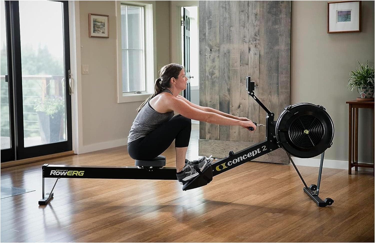 Concept2 RowErg Model D Indoor Rowing Machine with PM5 - image 1