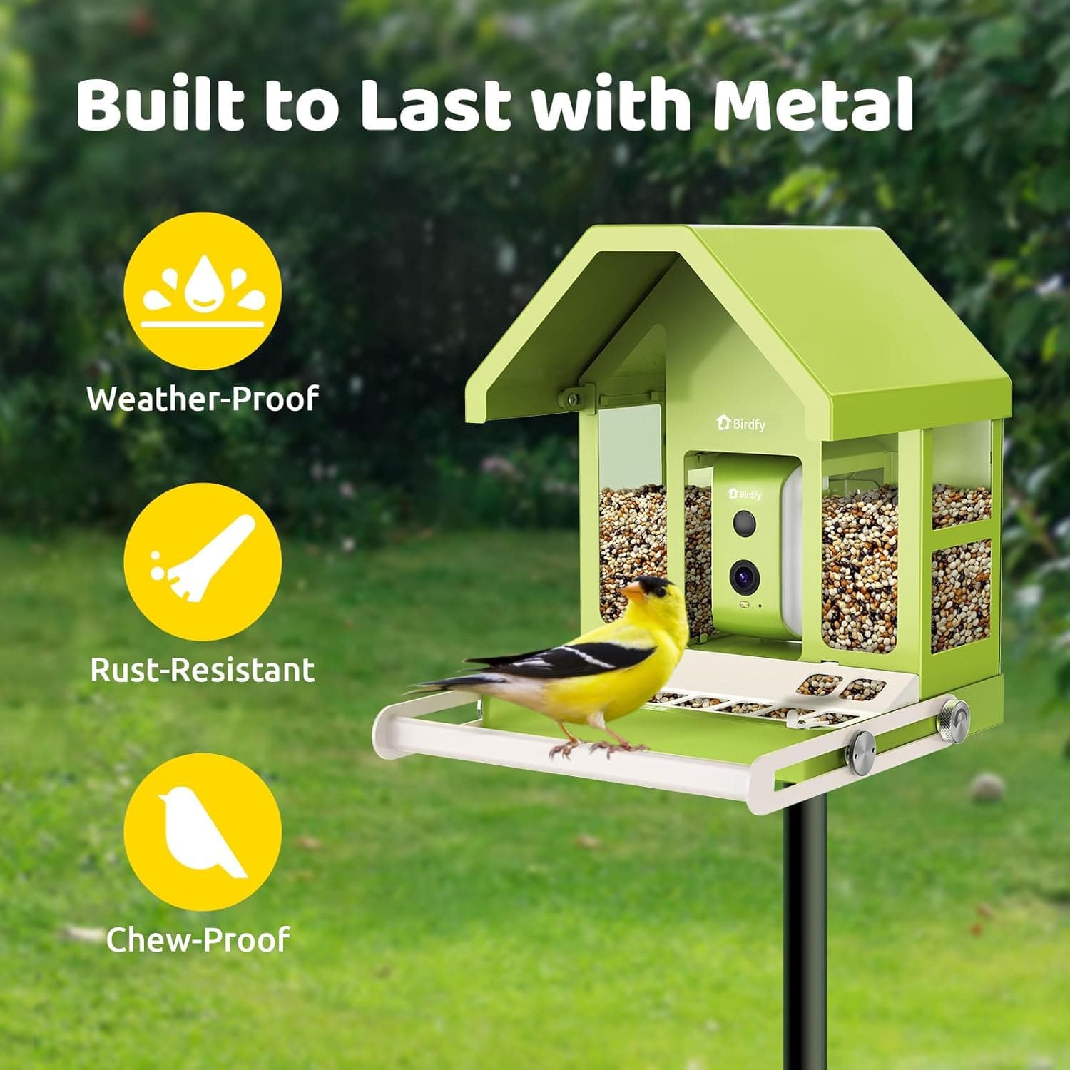 Birdfy Smart Bird Feeder Metal Edition thumbnail 2