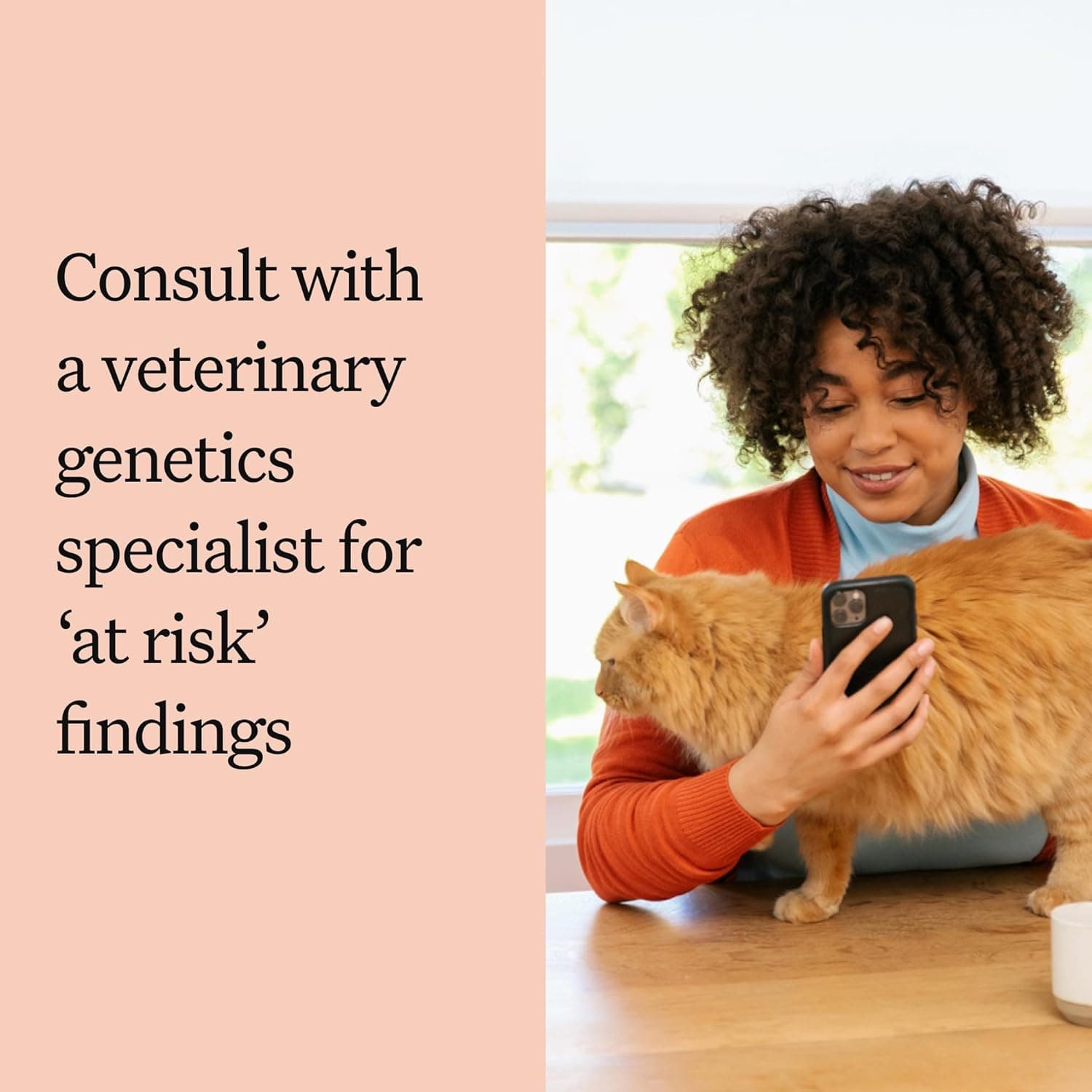 Wisdom Panel Complete for Cats thumbnail 5