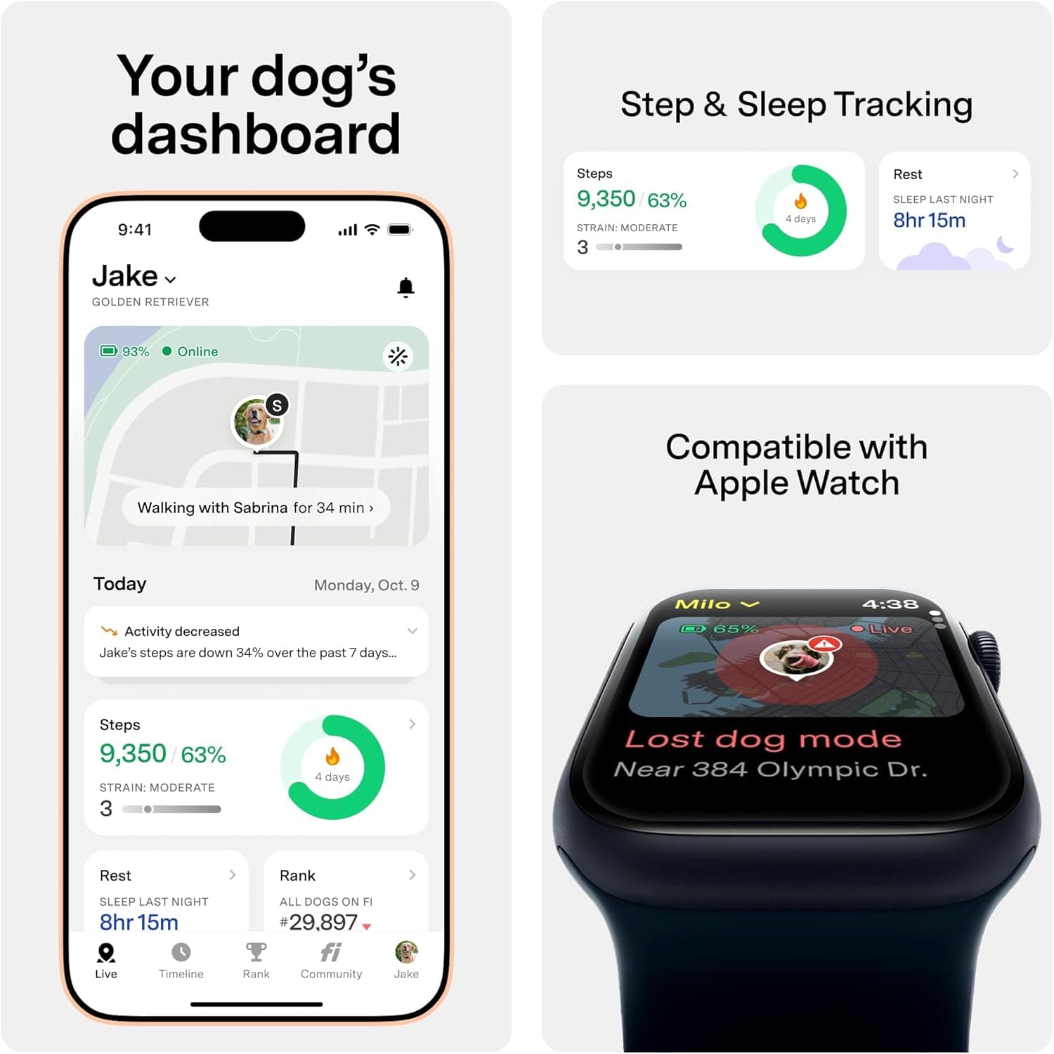 Fi Series 3+ Smart Dog Collar thumbnail 3