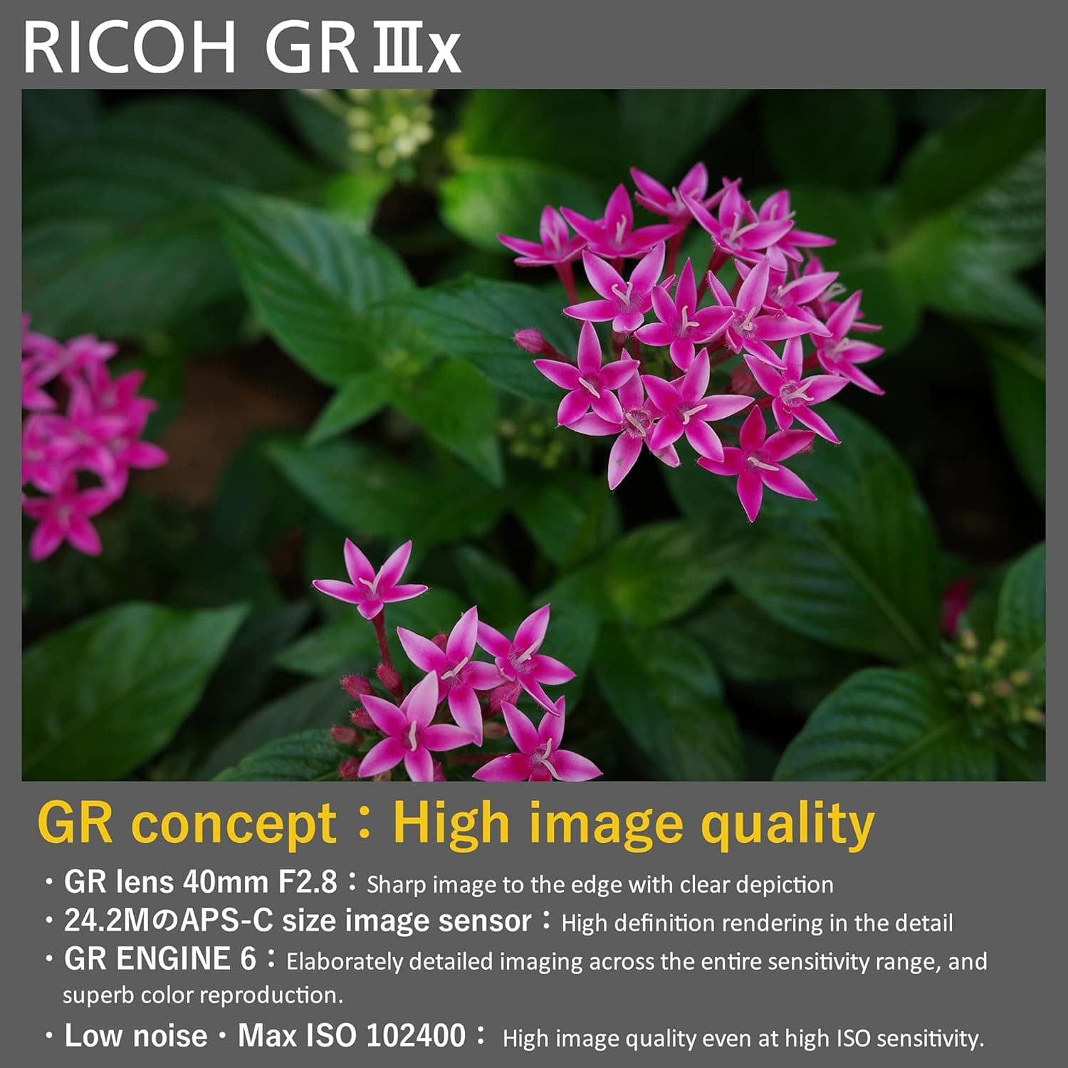 Ricoh GR IIIx Digital Compact Camera thumbnail 5