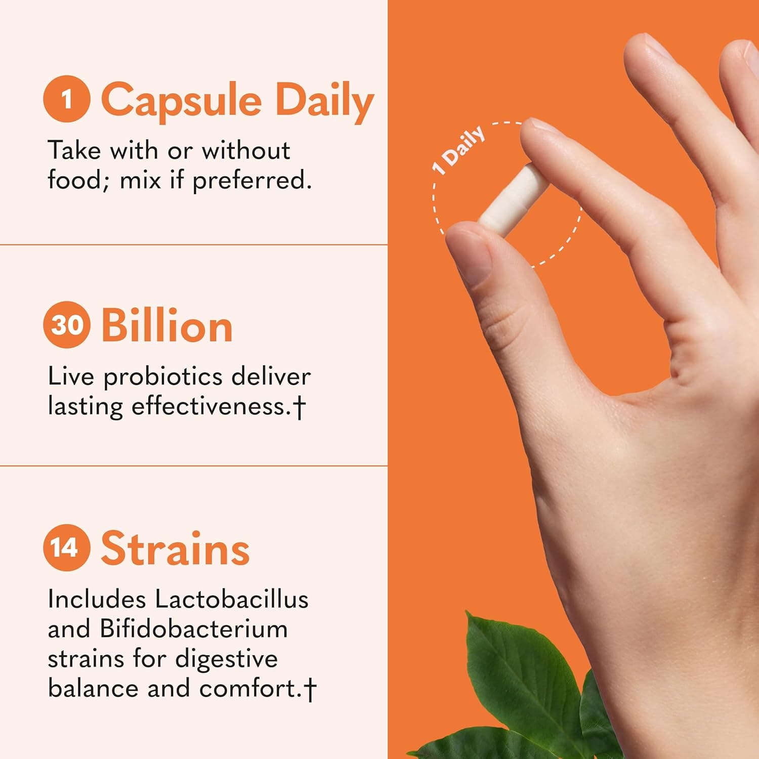 Garden of Life Dr. Formulated Probiotics Once Daily thumbnail 4