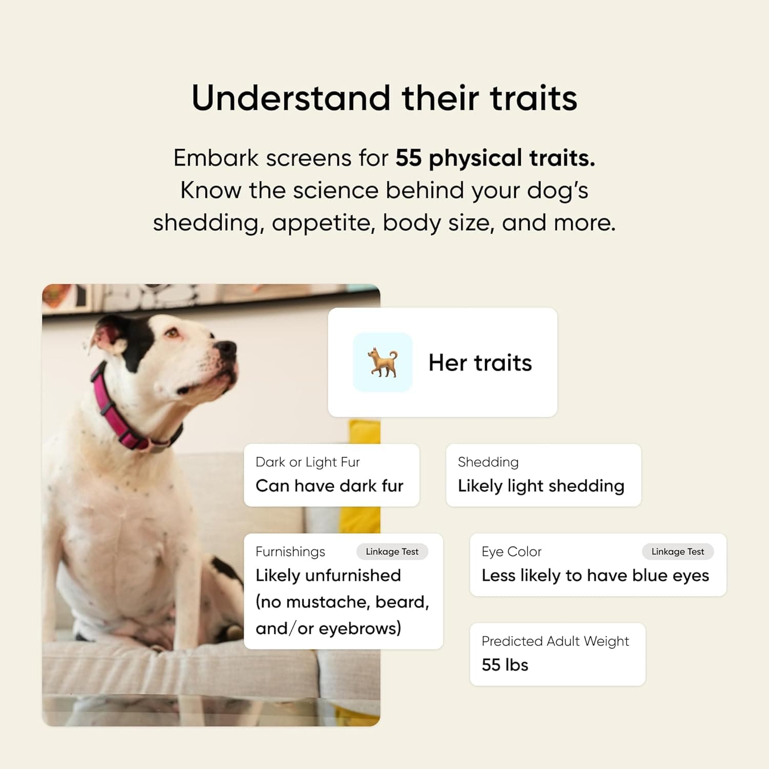 Embark Breed & Health Kit thumbnail 4