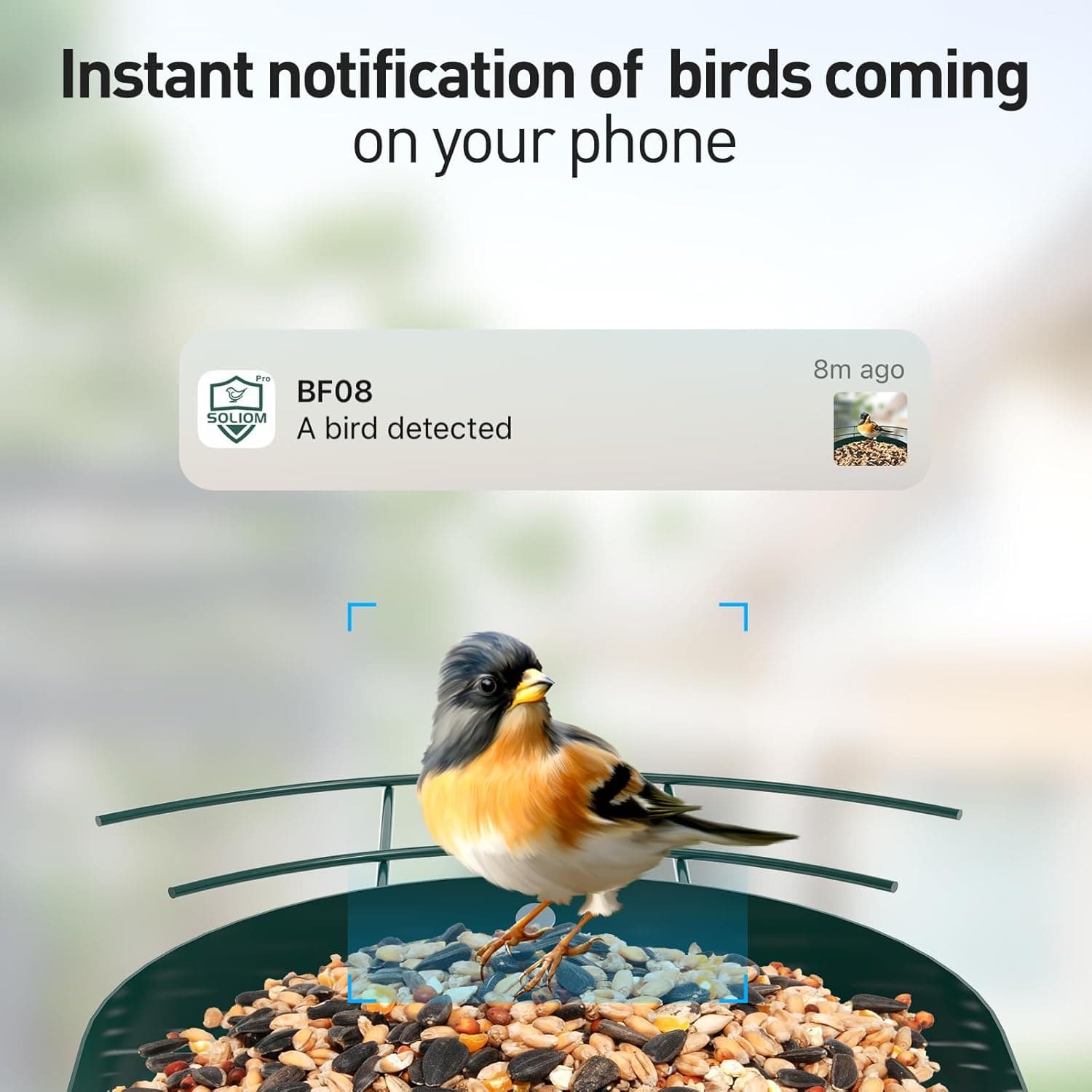SOLIOM BF08 Smart Bird Feeder with Camera thumbnail 2