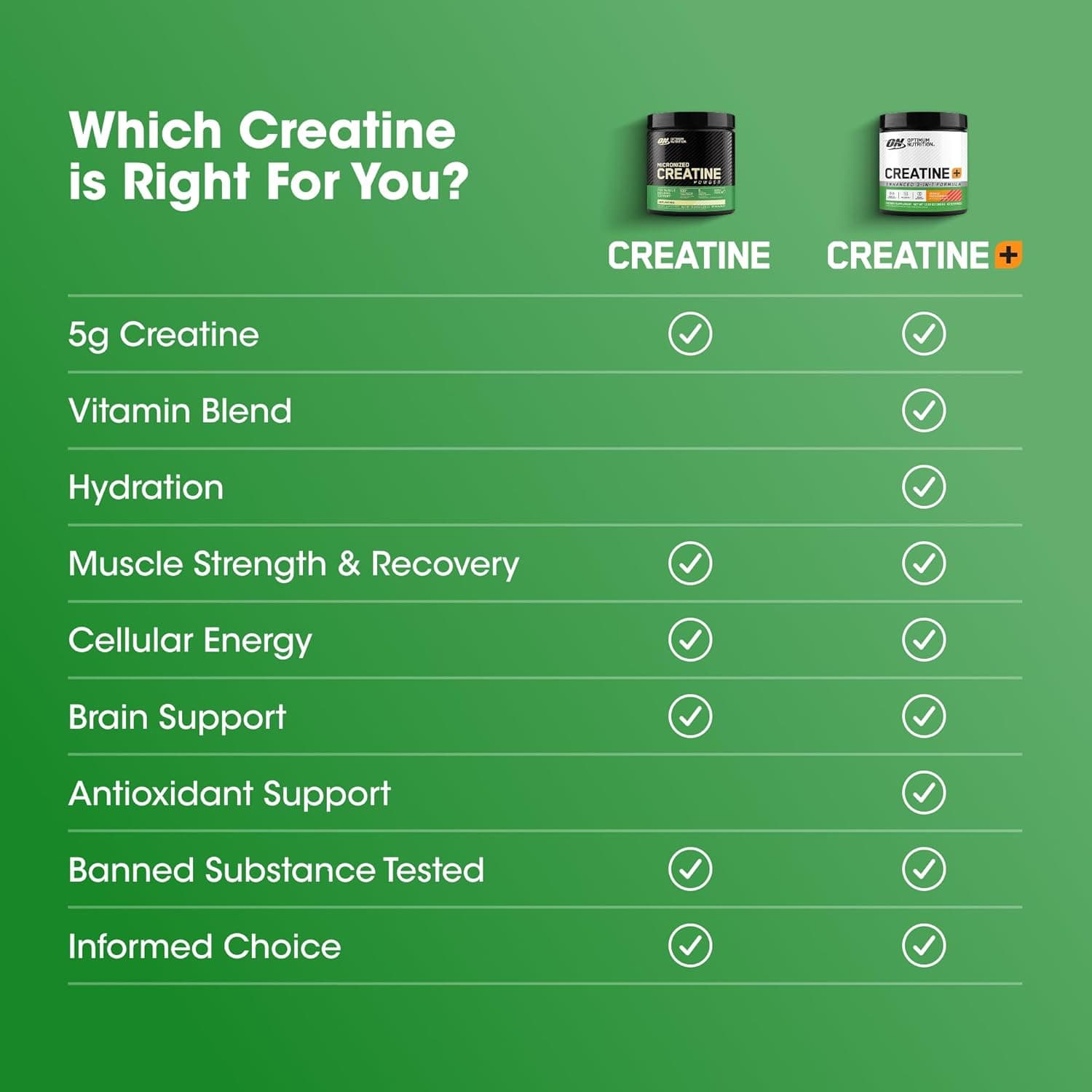 Optimum Nutrition Micronized Creatine Monohydrate Powder thumbnail 4