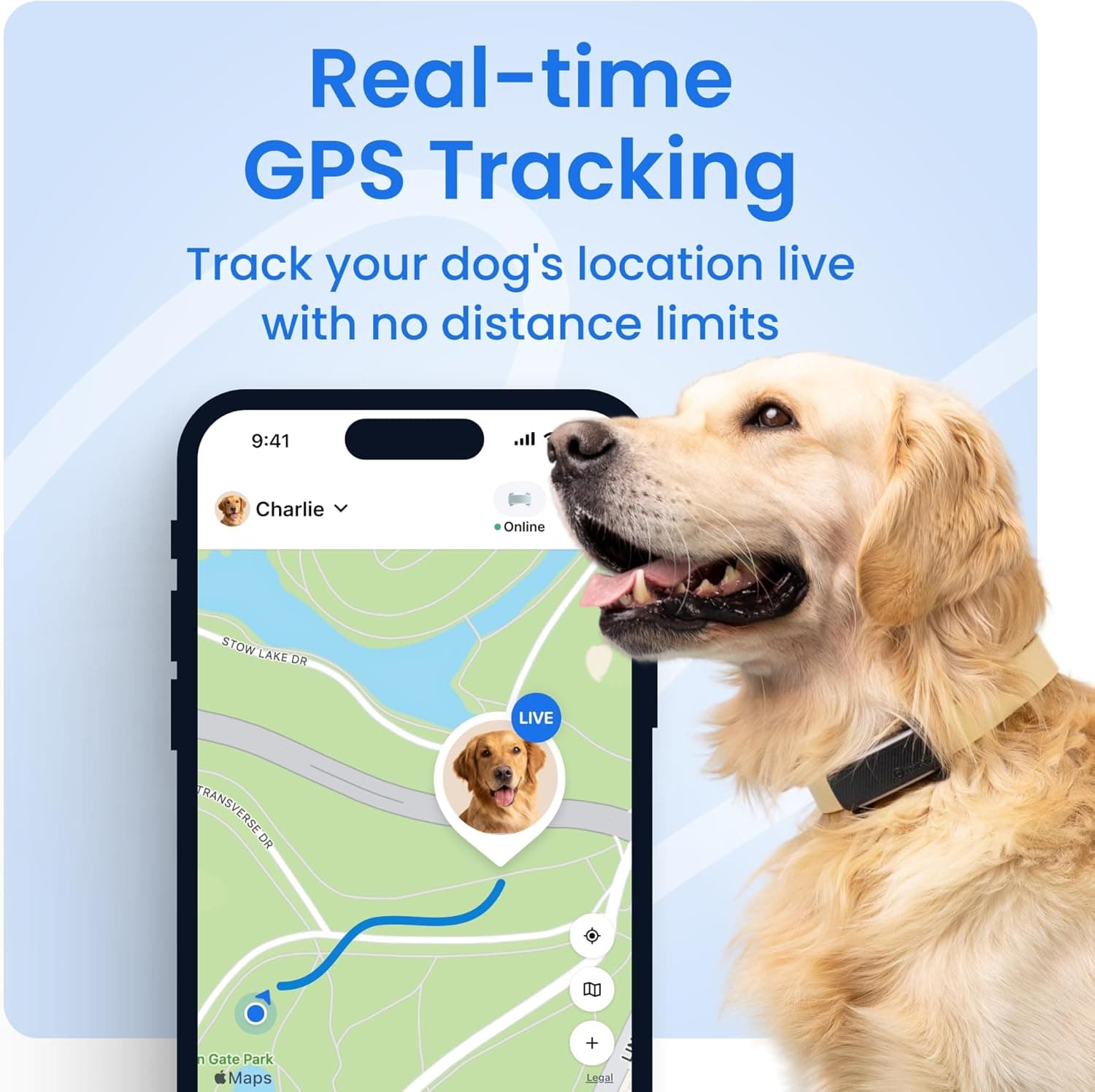 Tractive GPS Dog Tracker (DOG 6) thumbnail 2