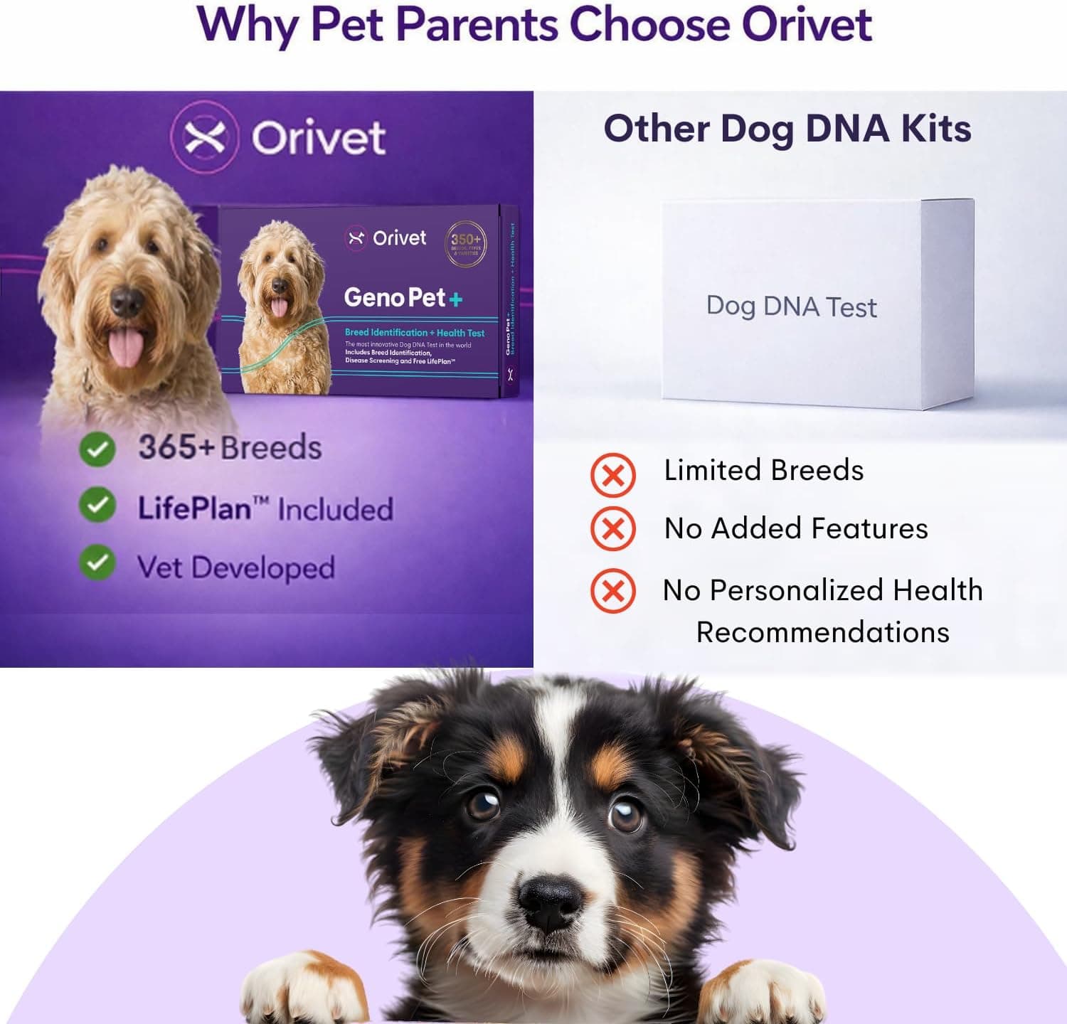 Orivet GenoPet Plus 5.0 Dog DNA Test thumbnail 5