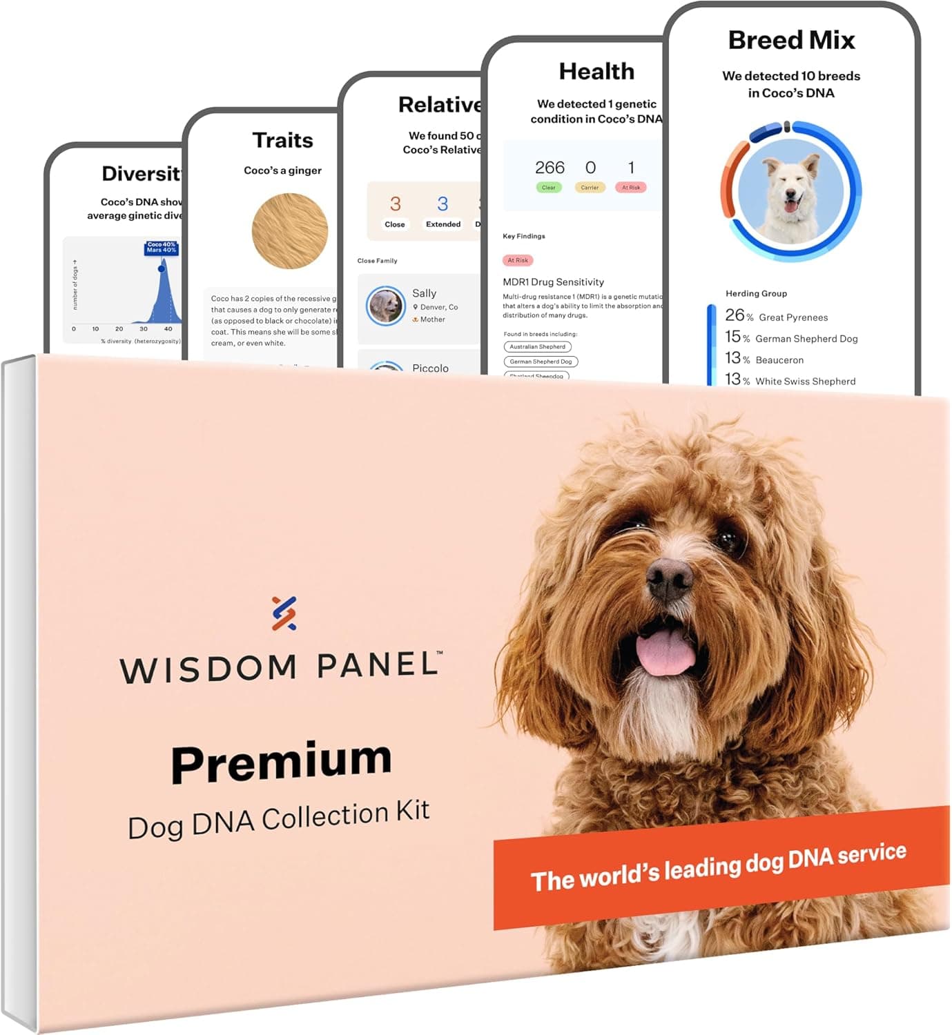 Wisdom Panel Premium Dog DNA Kit - image 1