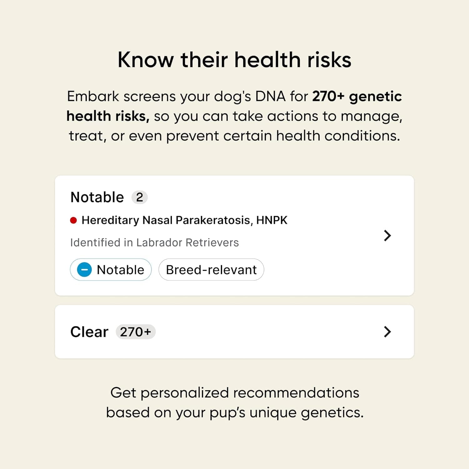 Embark Breed & Health Kit thumbnail 3