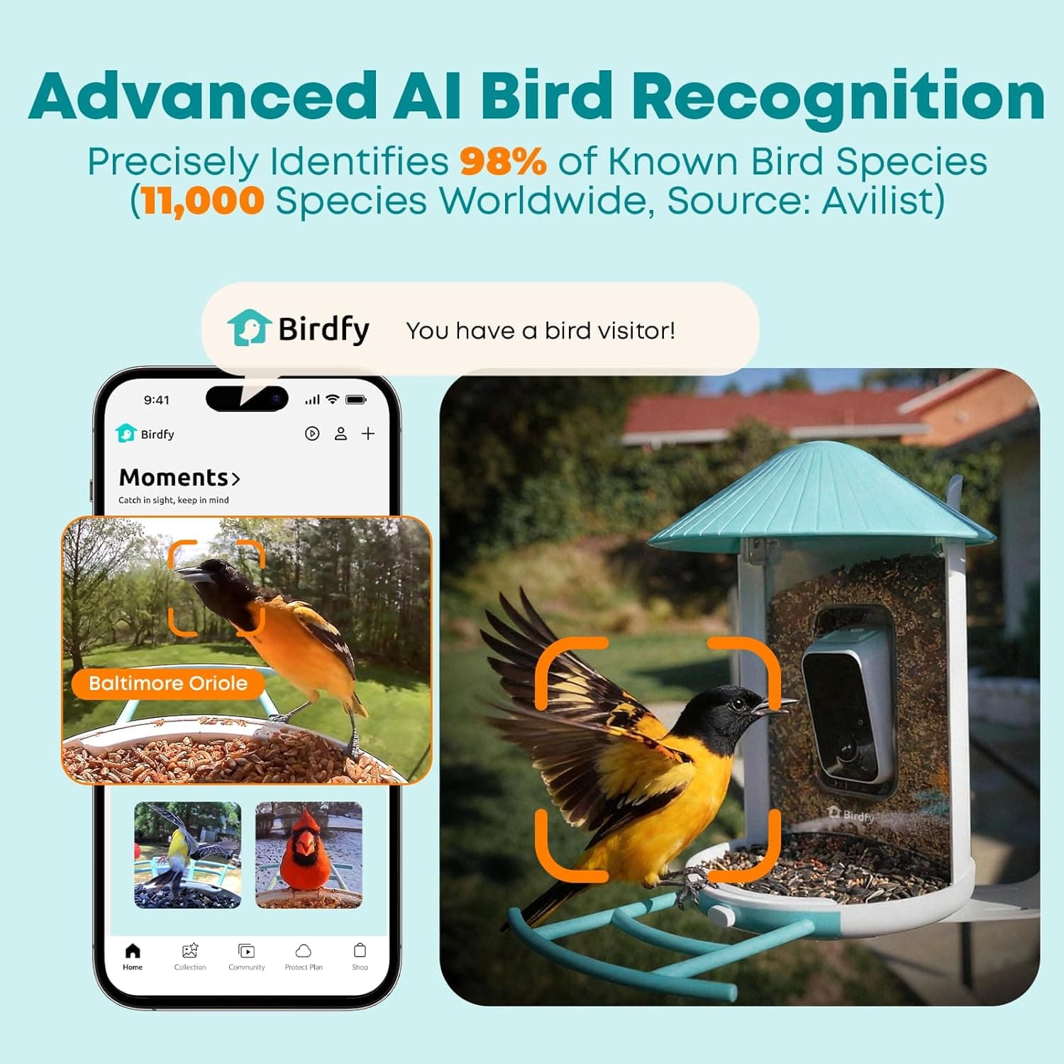 NETVUE Birdfy Smart Bird Feeder with AI Camera thumbnail 3