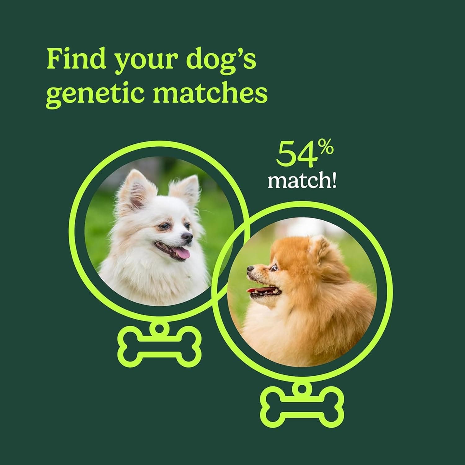 Ancestry Dog DNA Test (Know Your Pet DNA) thumbnail 5