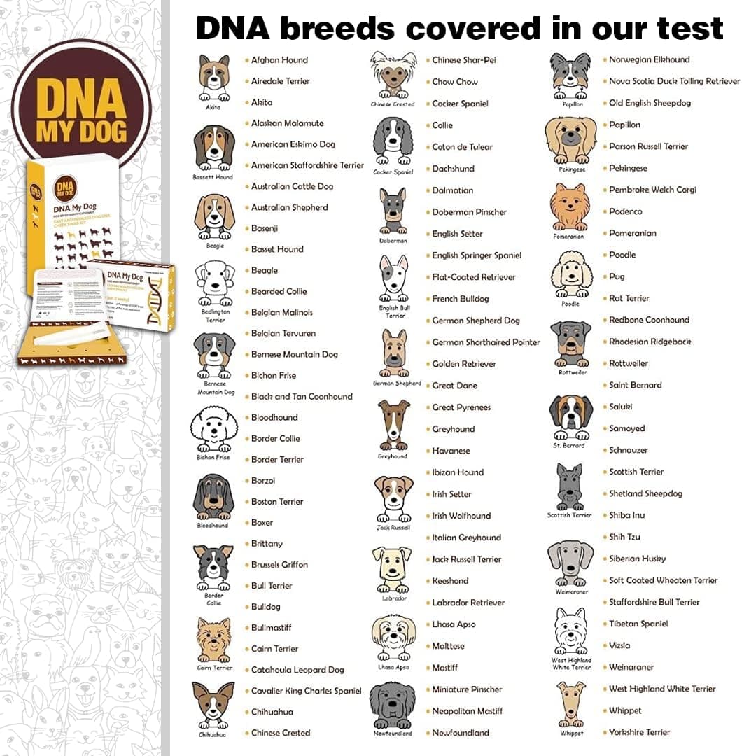 DNA My Dog Genetic Testing Kit thumbnail 5