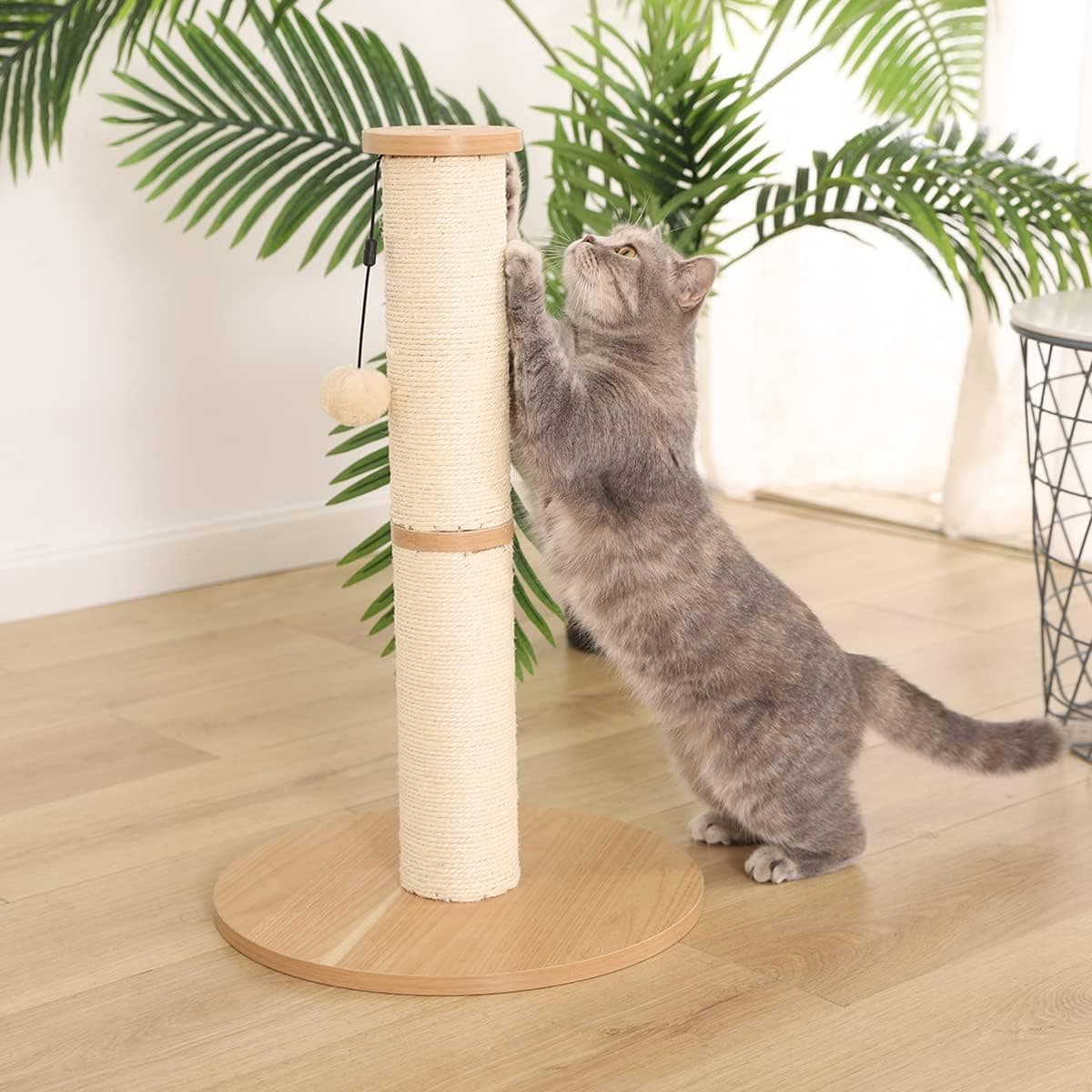 Amazon Basics Cat Scratching Post 24" thumbnail 2
