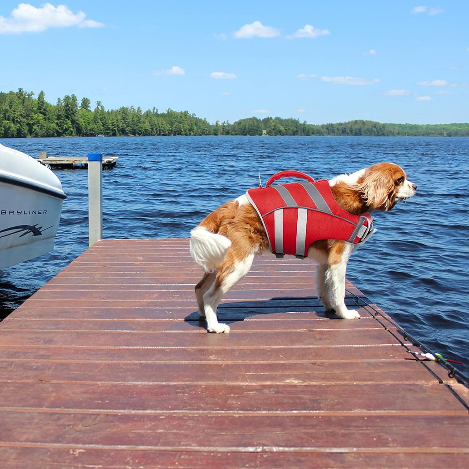 Kuoser Dog Life Jacket thumbnail 5