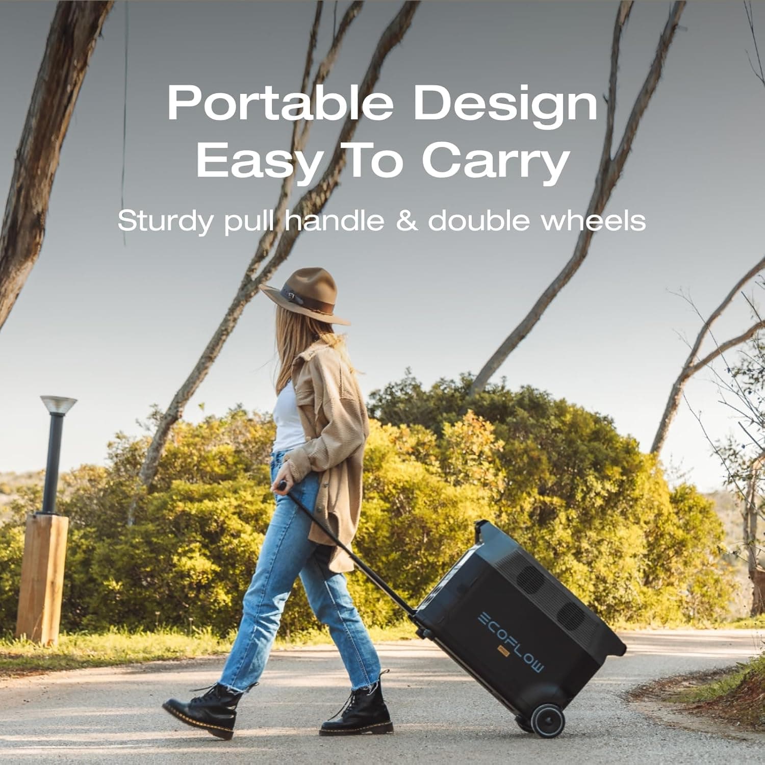 EcoFlow DELTA Pro Portable Power Station thumbnail 5