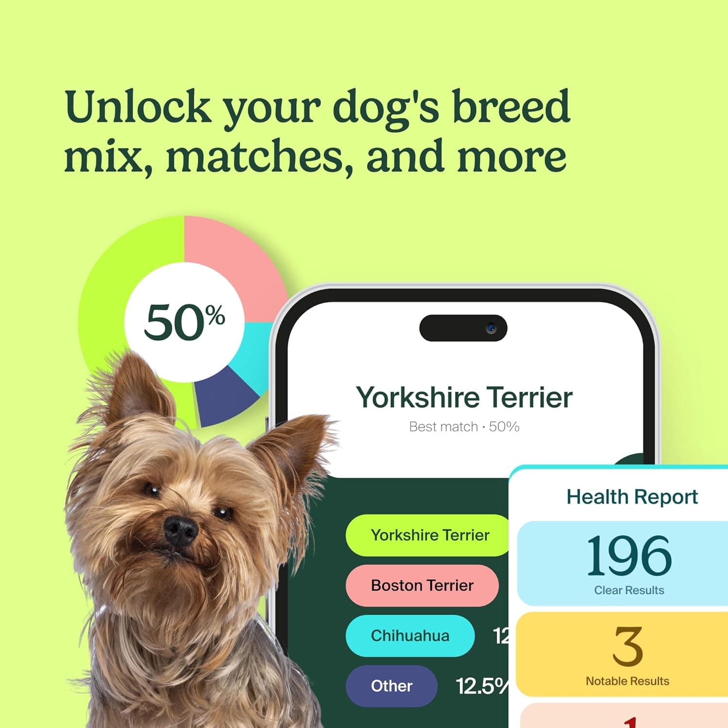 Ancestry Dog DNA Test (Know Your Pet DNA) thumbnail 3